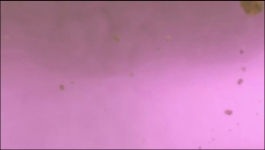 My Melody End Kuromi - Season 01 Episode 11